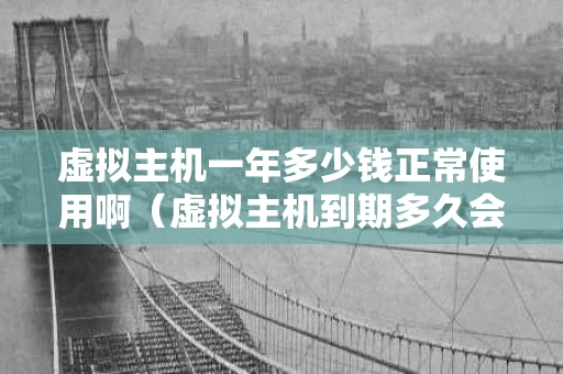 虚拟主机一年多少钱正常使用啊（虚拟主机到期多久会被释放）