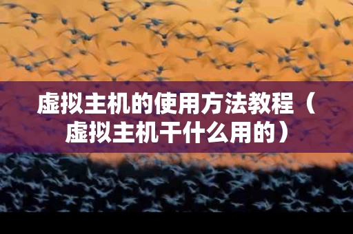 虚拟主机的使用方法教程（虚拟主机干什么用的）