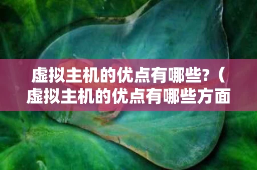 虚拟主机的优点有哪些?（虚拟主机的优点有哪些方面）