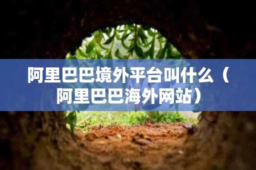 阿里巴巴境外平台叫什么（阿里巴巴海外网站）