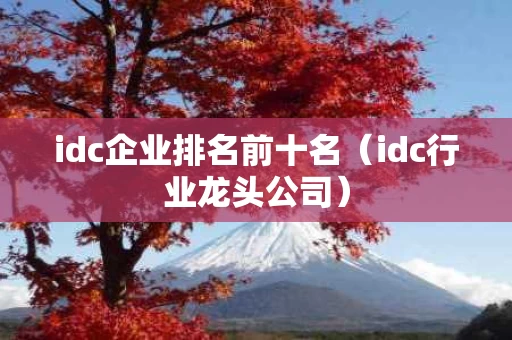 idc企业排名前十名（idc行业龙头公司）