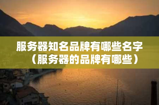 服务器知名品牌有哪些名字（服务器的品牌有哪些）