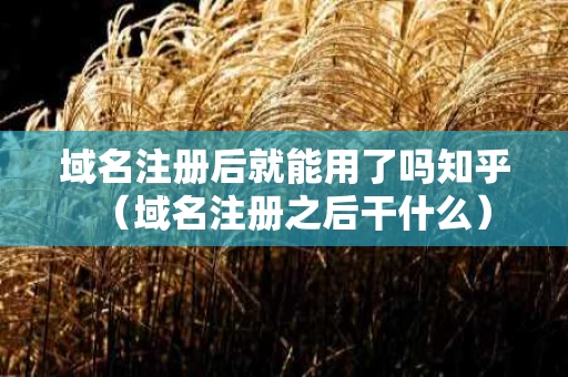 域名注册后就能用了吗知乎（域名注册之后干什么）