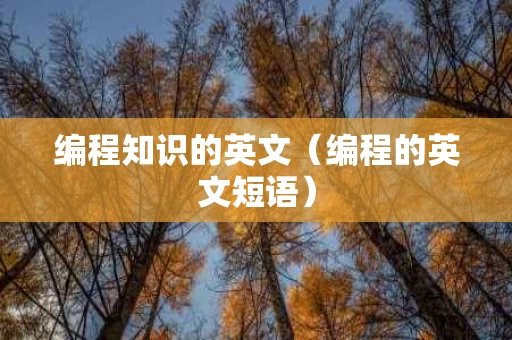 编程知识的英文（编程的英文短语）