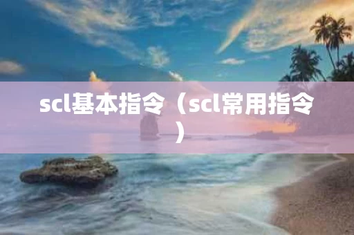 scl基本指令（scl常用指令）