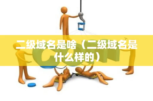 二级域名是啥（二级域名是什么样的）