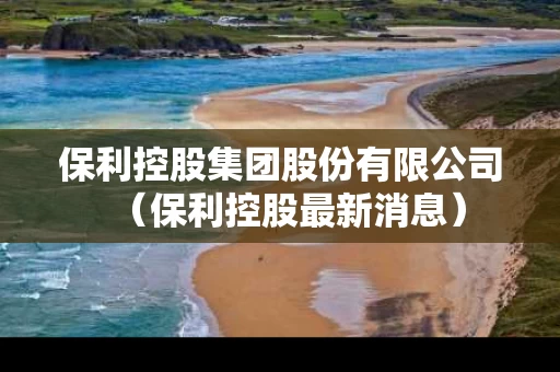 保利控股集团股份有限公司（保利控股最新消息）