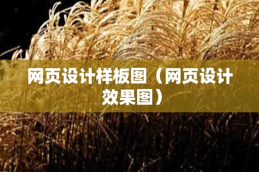 网页设计样板图（网页设计 效果图）