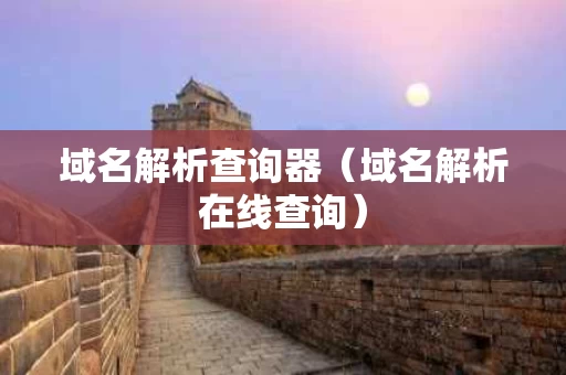 域名解析查询器（域名解析在线查询）