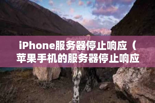 iPhone服务器停止响应（苹果手机的服务器停止响应是什么意思）
