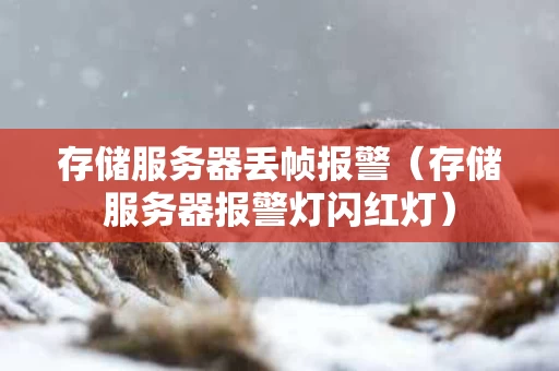 存储服务器丢帧报警（存储服务器报警灯闪红灯）