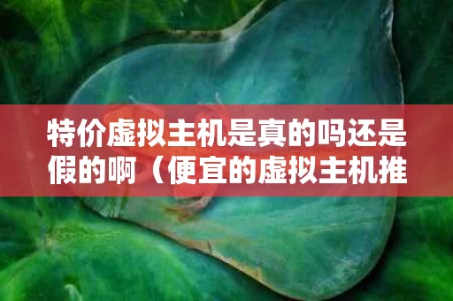 特价虚拟主机是真的吗还是假的啊（便宜的虚拟主机推荐）