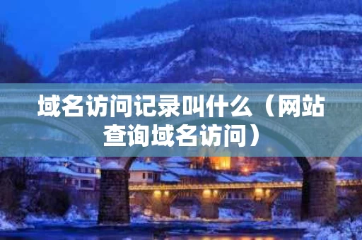 域名访问记录叫什么（网站查询域名访问）