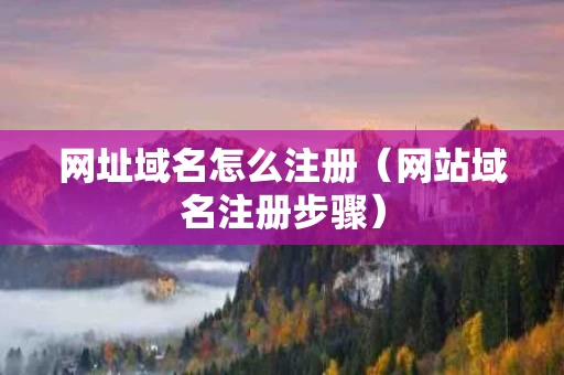 网址域名怎么注册（网站域名注册步骤）