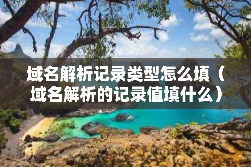 域名解析记录类型怎么填（域名解析的记录值填什么）