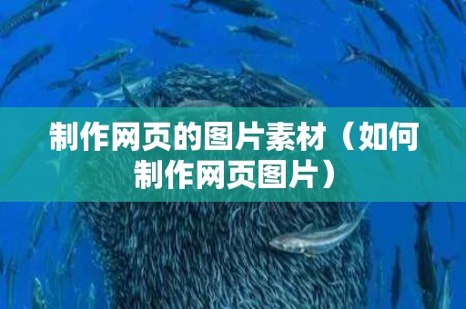制作网页的图片素材（如何制作网页图片）