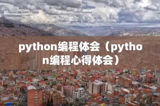 python编程体会（python编程心得体会）