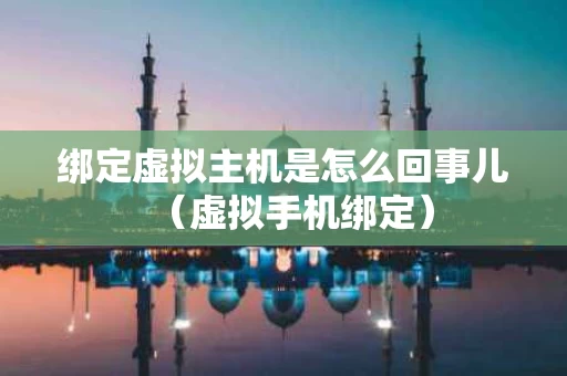 绑定虚拟主机是怎么回事儿（虚拟手机绑定）