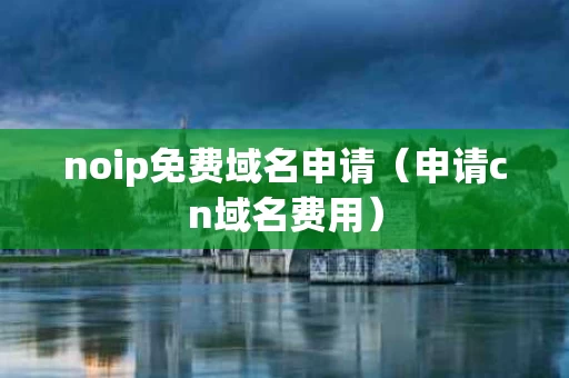 noip免费域名申请（申请cn域名费用）