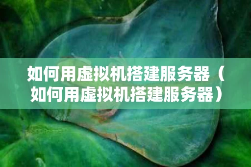 如何用虚拟机搭建服务器（如何用虚拟机搭建服务器）
