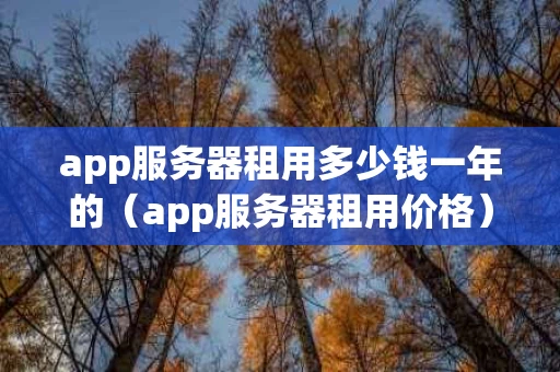 app服务器租用多少钱一年的（app服务器租用价格）