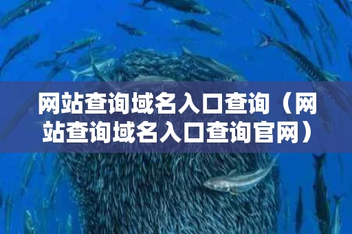网站查询域名入口查询（网站查询域名入口查询官网）