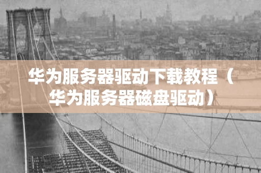 华为服务器驱动下载教程（华为服务器磁盘驱动）