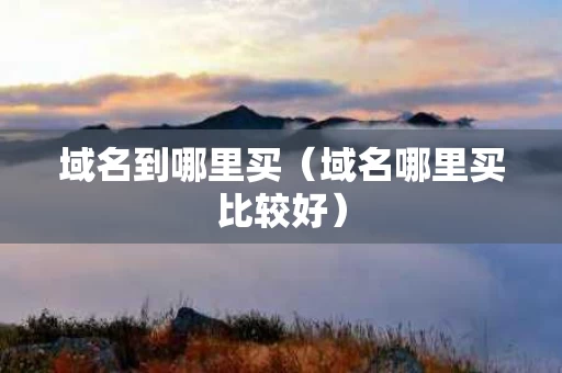 域名到哪里买（域名哪里买比较好）