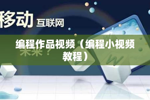 编程作品视频（编程小视频教程）