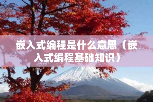 嵌入式编程是什么意思（嵌入式编程基础知识）