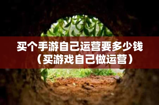 买个手游自己运营要多少钱（买游戏自己做运营）