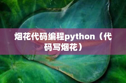 烟花代码编程python（代码写烟花）