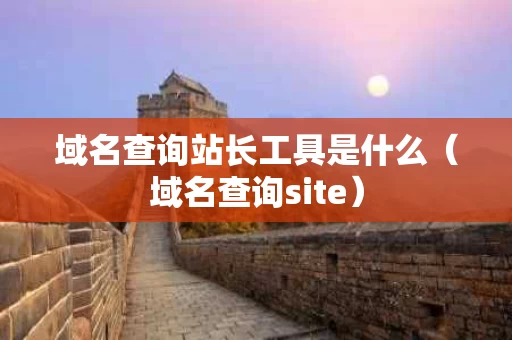 域名查询站长工具是什么（域名查询site）