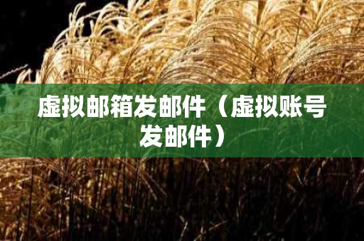 虚拟邮箱发邮件（虚拟账号发邮件）