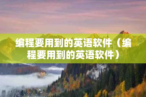 编程要用到的英语软件（编程要用到的英语软件）