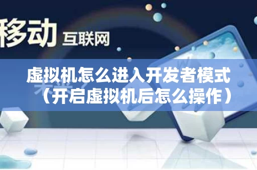 虚拟机怎么进入开发者模式（开启虚拟机后怎么操作）