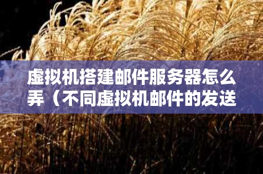 虚拟机搭建邮件服务器怎么弄（不同虚拟机邮件的发送与接收）