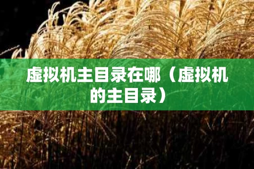 虚拟机主目录在哪（虚拟机的主目录）