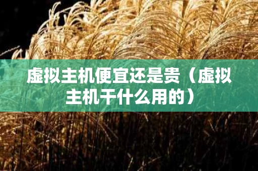 虚拟主机便宜还是贵（虚拟主机干什么用的）