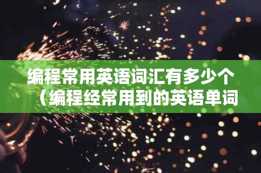 编程常用英语词汇有多少个（编程经常用到的英语单词）
