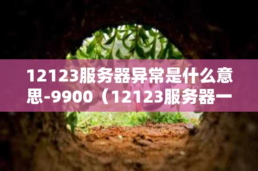 12123服务器异常是什么意思-9900（12123服务器一直异常）
