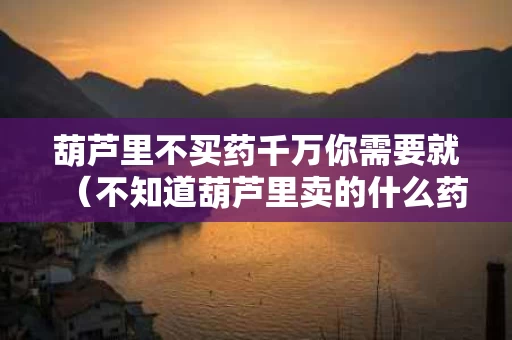 葫芦里不买药千万你需要就（不知道葫芦里卖的什么药是什么意思）