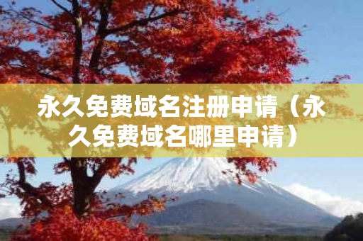 永久免费域名注册申请（永久免费域名哪里申请）
