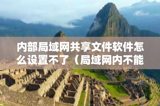 内部局域网共享文件软件怎么设置不了（局域网内不能访问共享文件）