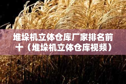 堆垛机立体仓库厂家排名前十（堆垛机立体仓库视频）