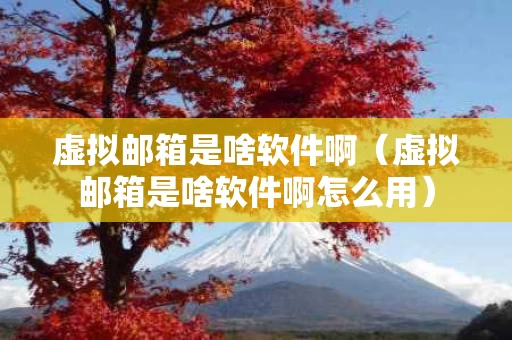 虚拟邮箱是啥软件啊（虚拟邮箱是啥软件啊怎么用）