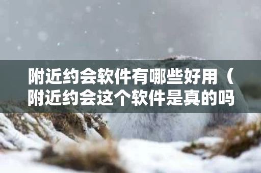 附近约会软件有哪些好用（附近约会这个软件是真的吗?）