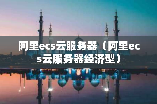 阿里ecs云服务器（阿里ecs云服务器经济型）