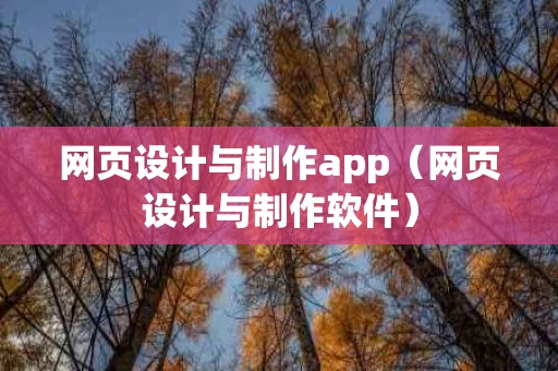 网页设计与制作app（网页设计与制作软件）