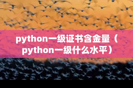 python一级证书含金量（python一级什么水平）